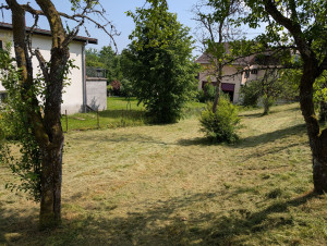 Photo de galerie - Voici le résultat d' un chantier de 1 an sans tonte 