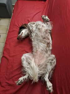 Photo de galerie - Prisca 