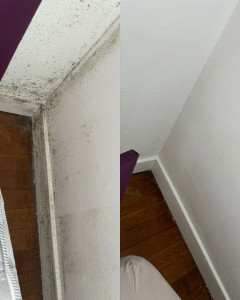 Photo de galerie - Nettoyage / traitement sur mur 