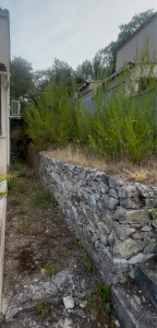 Photo de galerie - Tonte de pelouse - Débroussaillage