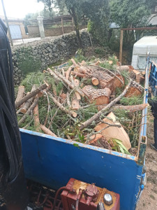 Photo de galerie - évacuation végétaux. 