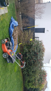 Photo de galerie - Tonte d'une pelouse 


