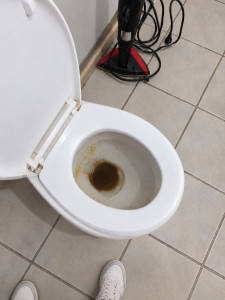 Photo de galerie - Avant toilette très encrassé 