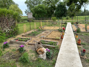 Photo de galerie - Paysagiste - Aménagement du jardin