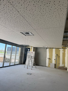 Photo de galerie - Plafonds 