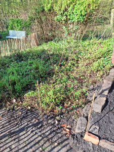 Photo de galerie - Avant 