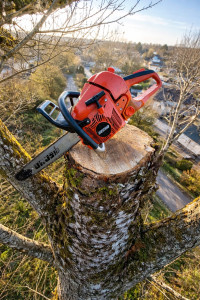 Photo de galerie - Démontage 