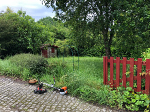 Photo de galerie - Tonte de pelouse - Débroussaillage