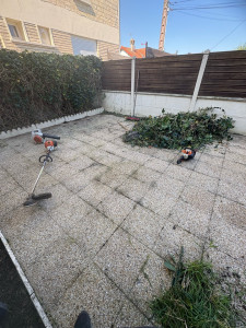 Photo de galerie - Taille de haies et d'arbustes