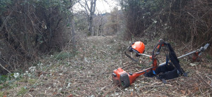 Photo de galerie - Débroussaillage d'un parc à chevaux, plus rénovation des piquets sur 3 hectares soir plus de 100 piquets