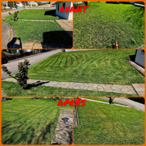 Photo de galerie - Petite prestation, debroussailleuse, tonte mulching et nettoyage au soufleur. 