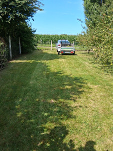 Photo de galerie - Tonte