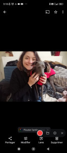 Photo de galerie - Avec Ron, petit lévrier Italien