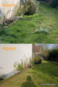 Photo de galerie - Tonte de pelouse - Débroussaillage
