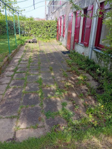 Photo de galerie - Terrasse avant le traitement 
