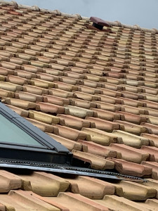 Photo de galerie - Traitement anti mousse hydrofuge 