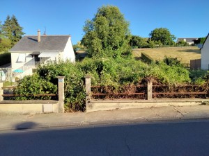 Photo de galerie - Débroussaillage
