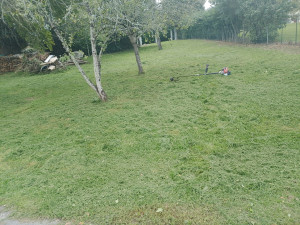 Photo de galerie - Débroussaillage terrain 1000m2 environ Hauteur d'herbe 20cm, fait à mosnac 