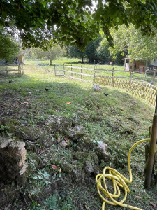 Photo de galerie - Tonte de pelouse - Débroussaillage