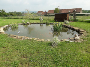 Photo de galerie - Création d'un bassin d'agrément 