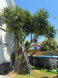 Photo de galerie - Paysagiste - Aménagement du jardin