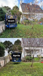 Photo de galerie - Tonte de pelouse - Débroussaillage