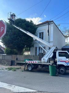 Photo de galerie - Taille Tarbes