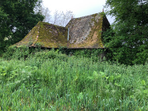 Photo de galerie - Tonte de pelouse - Débroussaillage