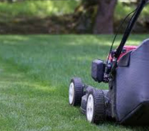 Photo de galerie - Tonte de pelouse - Débroussaillage