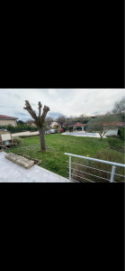 Photo de galerie - Élagage 