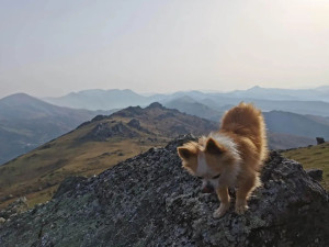 Photo de galerie - Petite randonnée avec Icare