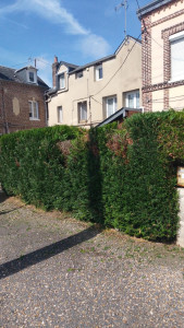 Photo de galerie - Jardinier