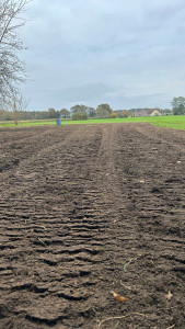 Photo de galerie - Préparation de terrain 