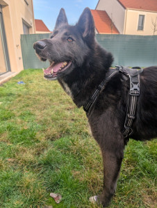 Photo de galerie - Garde à domicile