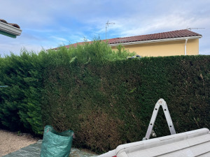 Photo de galerie - Taille de haie