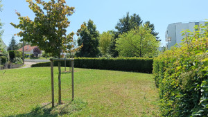 Photo de galerie - Entretien de jardins




