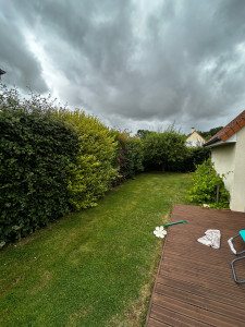 Photo de galerie - Avant taille 