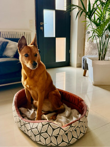Photo de galerie - Dodo terminé, place aux calins pour Maya ! 