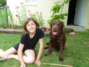 Photo de galerie - Je suis en contact avec les animaux depuis toute petite ? Flora Labrador Chocolat ?
