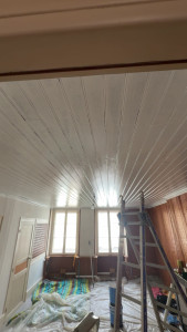 Photo de galerie - Rénovation de plusieurs plafonds 