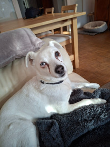 Photo de galerie - Janvier 2026