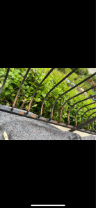 Photo de galerie - Peinture - Tapisserie