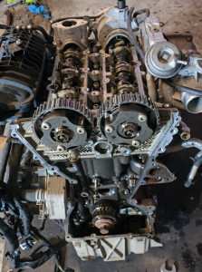 Photo de galerie - Remplacement de la courroie de distribution sur le moteur Ford 1.0 EcoBoost