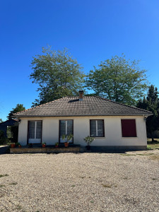 Photo de galerie - Élagage de 2 acacias 
