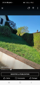 Photo de galerie - Tonte taille petit élagage 