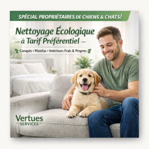 Photo de galerie - Nettoyage canapé 