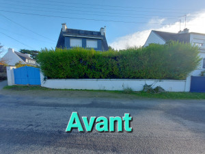 Photo de galerie - Avant la taille