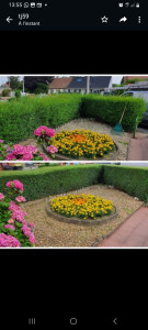 Photo de galerie - Avant après taille de haie 