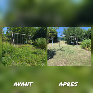 Photo de galerie - Débroussaillage 