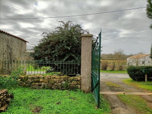 Photo de galerie - Taille d'arbustes 